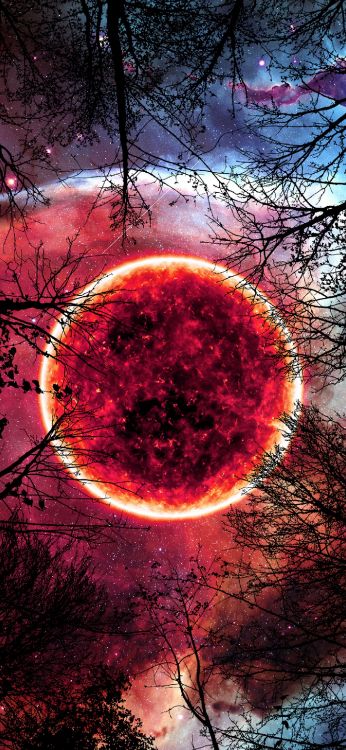 Обои природа, атмосфера, мир, природный ландшафт, вода в разрешении 1407x3045