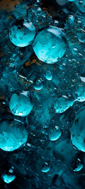 Обои жидкость пузырь, питьевая вода, вода, cnidaria, морская биология в разрешении 1080x2400