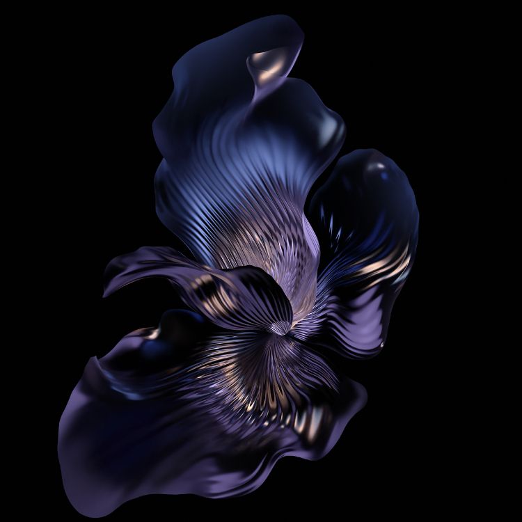 Обои мотылек орхидея, смартфон, цветок, лепесток, наземное растение в разрешении 2700x2700