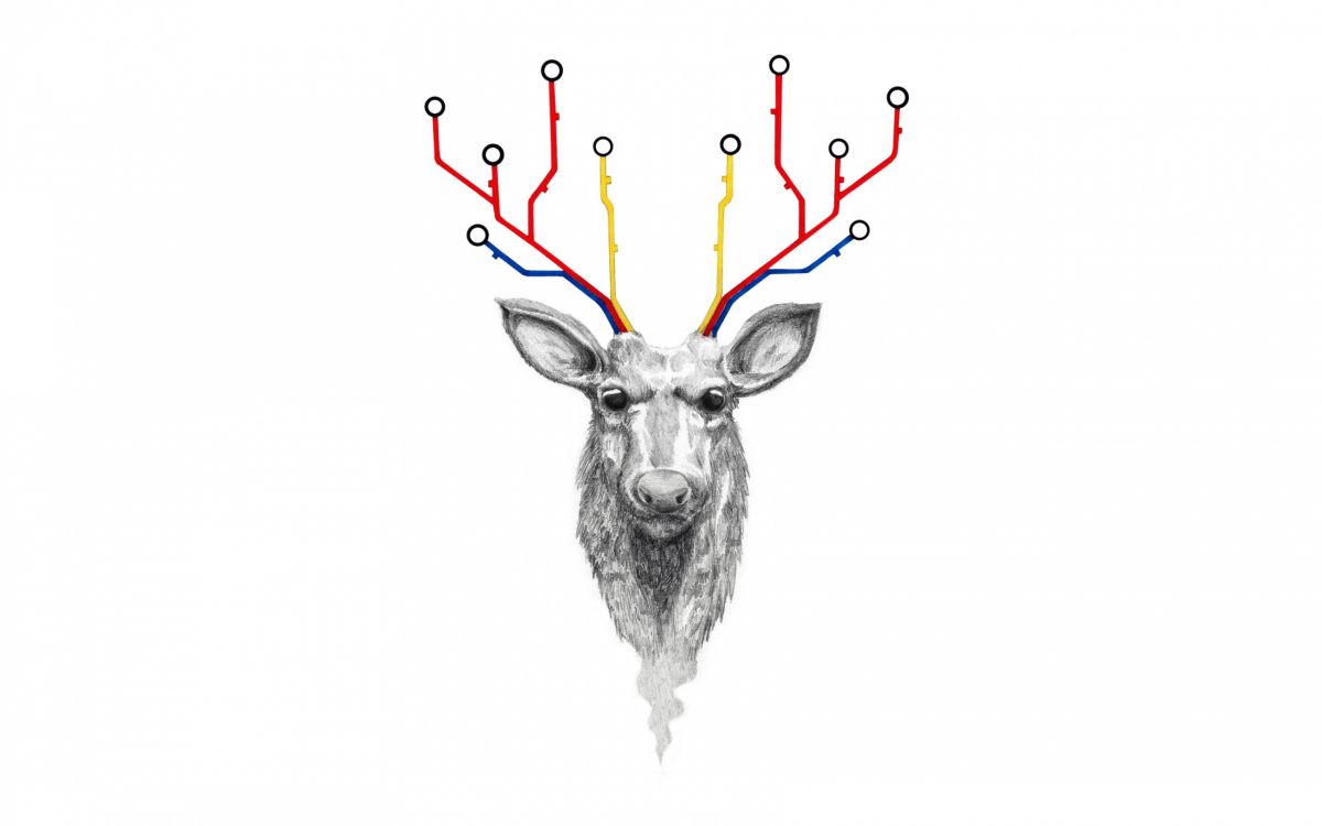 Обои постер, олень, Северный олень, иллюстрация, олений рог в разрешении 2560x1600
