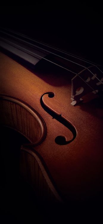 Обои Xiaomi, Xiaomi Redmi K20 Pro, редми примечание 8 про, xiaomi mi 9, xiaomi mi 9t pro в разрешении 1080x2340