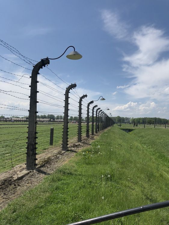 Обои ограждать провода, облако, равнина, земельный участок, колючая проволока в разрешении 1536x2048