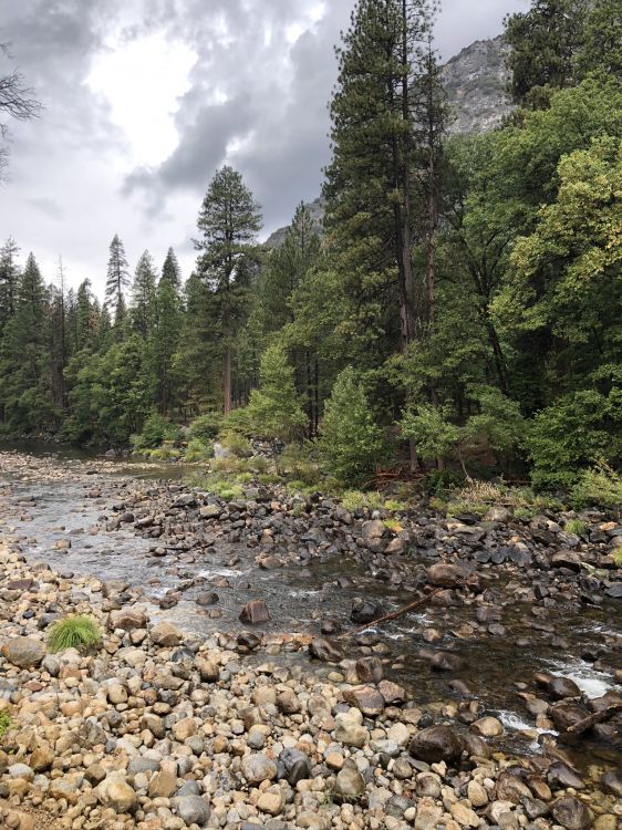 Обои дикая местность, недвижимость, земельный участок, colici murici, кондоминиум в разрешении 1536x2048