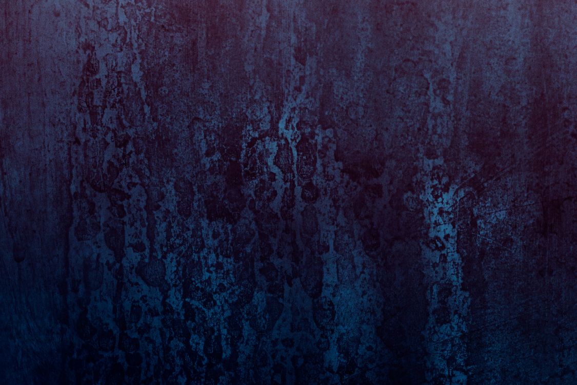 Обои атмосфера, темнота, дерево, синий, черный в разрешении 4752x3168