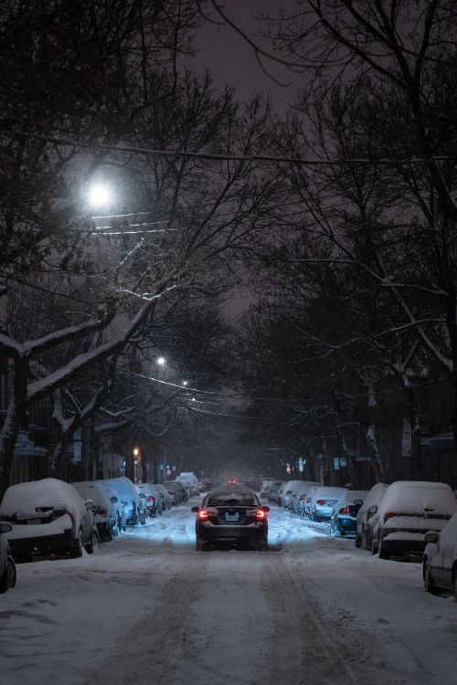Обои снег, зима, ночь, уличный фонарь, зимняя дорога в разрешении 2624x3936