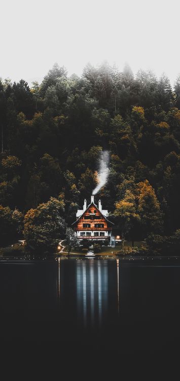 Обои отражение, лист, вода, гидроресурсы, растение в разрешении 1422x3000