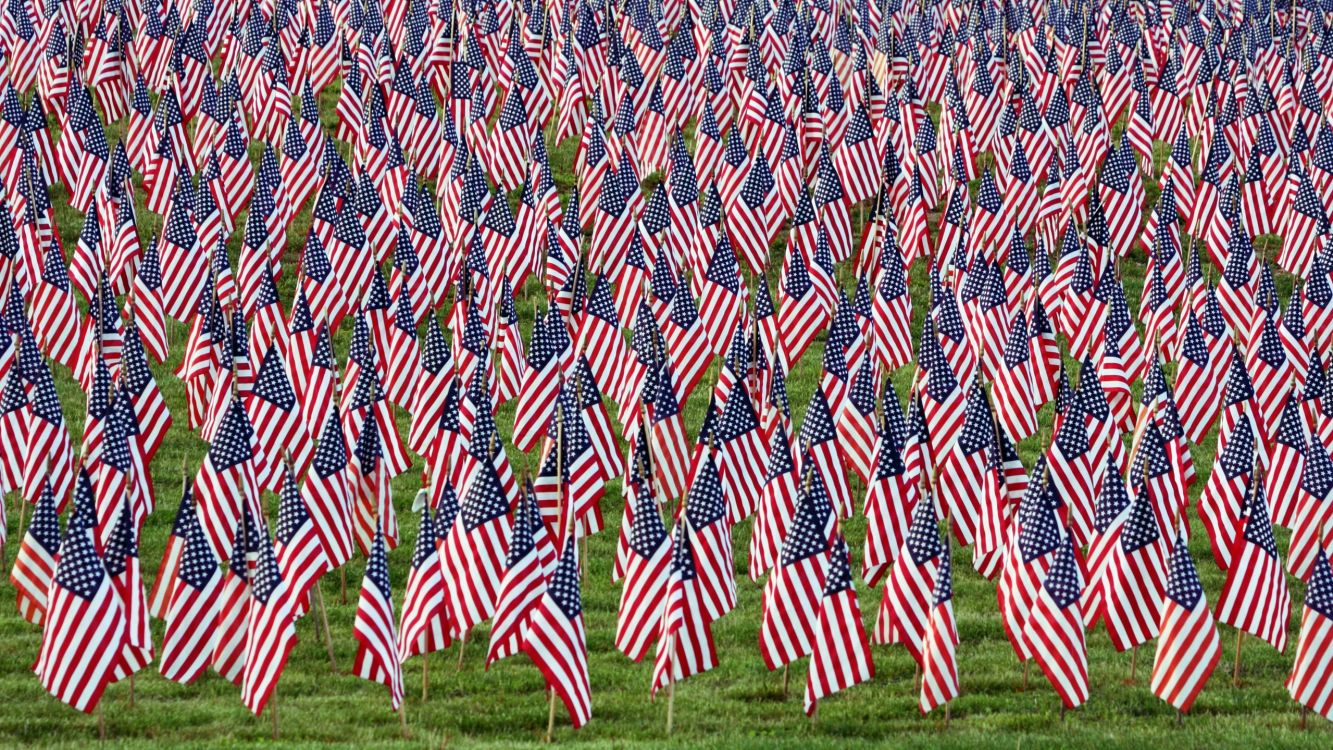 Обои флаг, флаг Соединенных Штатов, растение, семейство травы, трава в разрешении 2560x1440