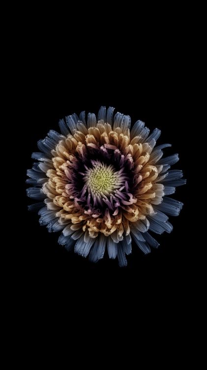 Обои  Infinix Note 4, infinix note 3, infinix note4, инфиникс, смартфон в разрешении 1080x1920