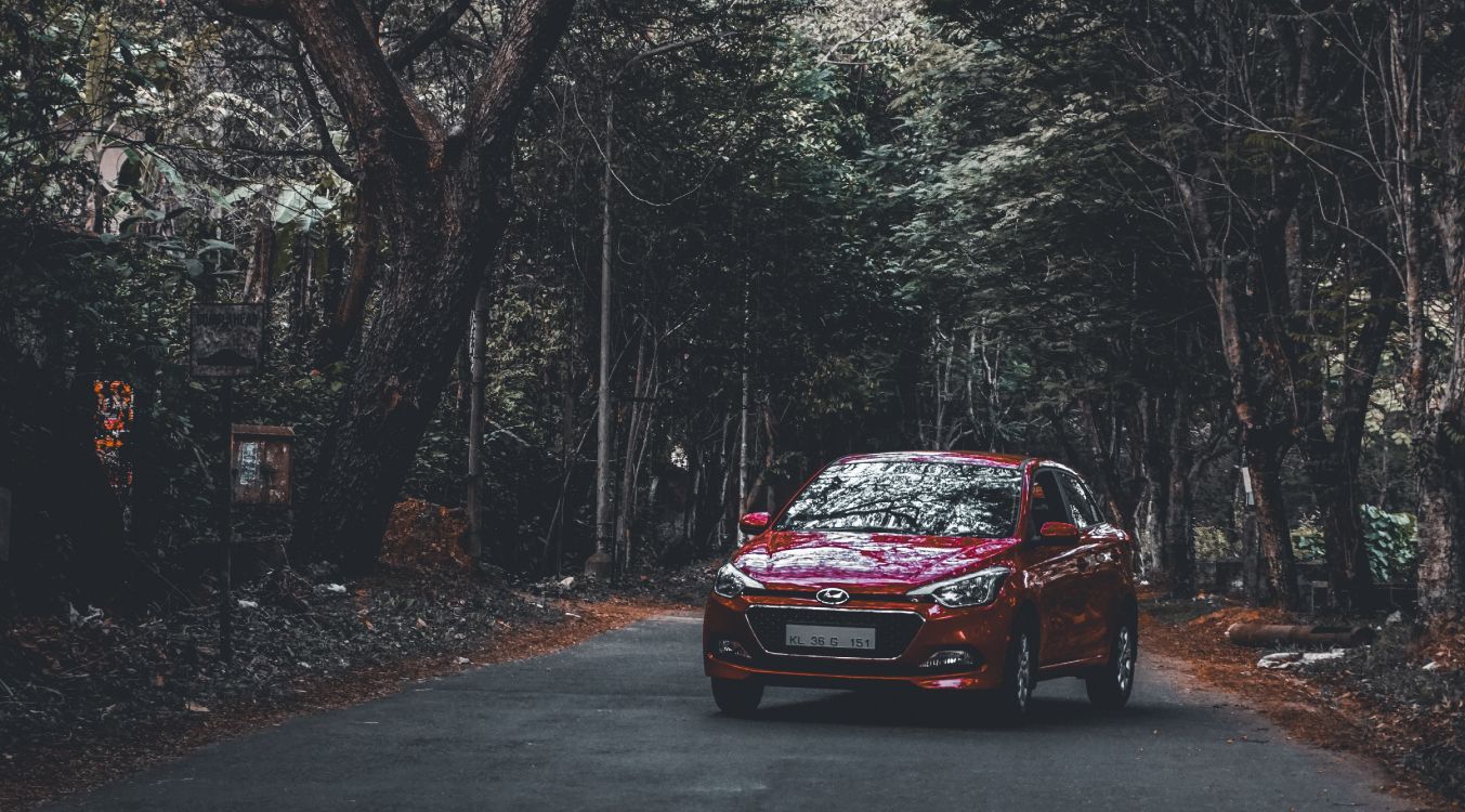 Обои Hyundai, авто, дерево, компактный автомобиль, чемпионат мира по ралли в разрешении 5121x2838