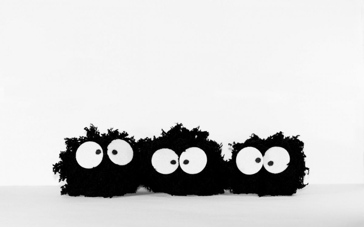 Обои забавное существо, Юмор, мультфильм, развлечение, черный в разрешении 2560x1600