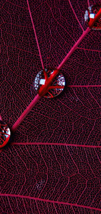 Обои круг, графический дизайн, вода, ткань, пурпур в разрешении 1421x3000