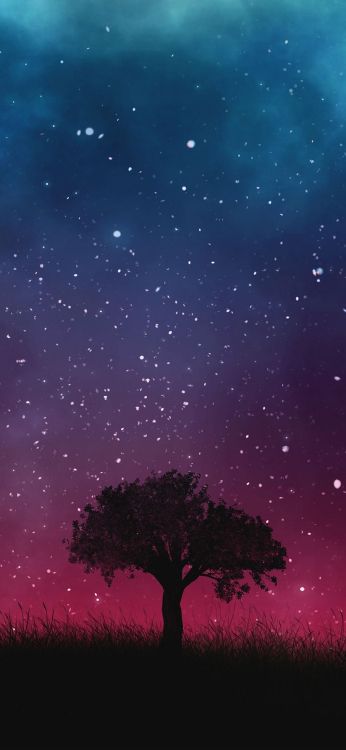 Обои спасибо вселенная, я отдаю тебе все, атмосфера, дневное время, растение в разрешении 1080x2340