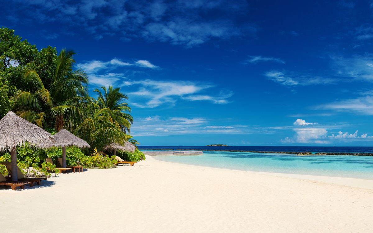 Обои водоем, тропическая зона, пляж, синий, природа в разрешении 3840x2400