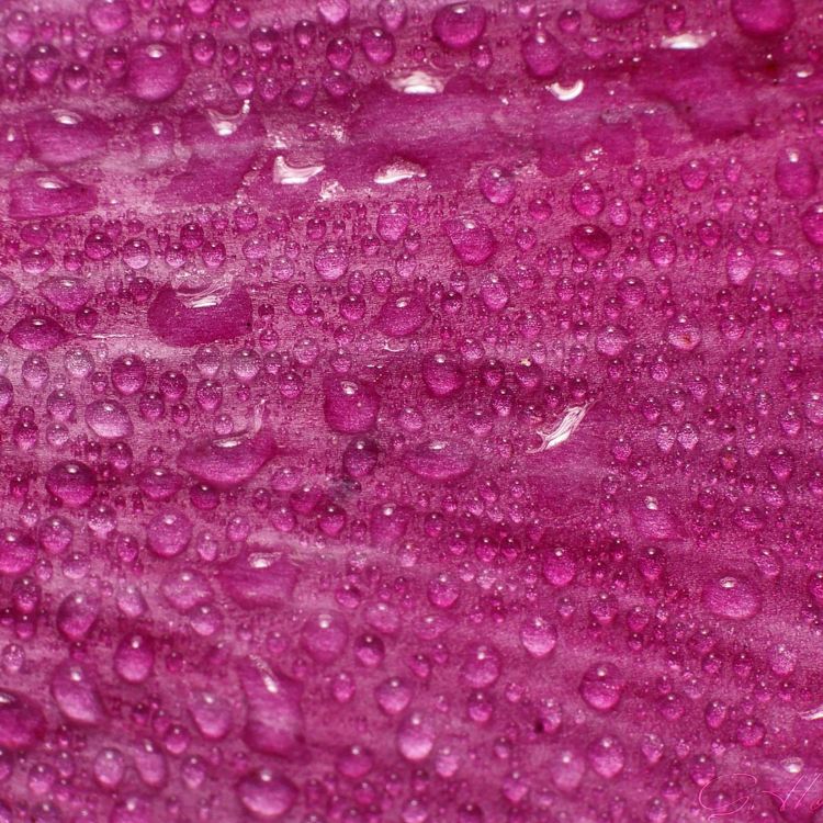 Обои падение, розовый, вода, пурпур, пурпурный цвет в разрешении 2048x2048