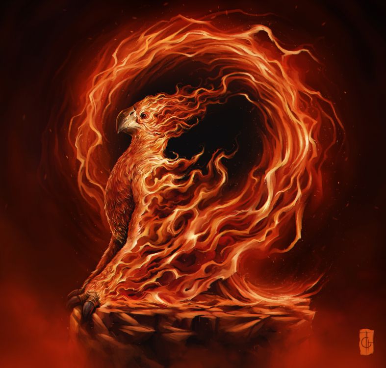 Обои Феникс, арт, артист, тепло, пламя в разрешении 3840x3656