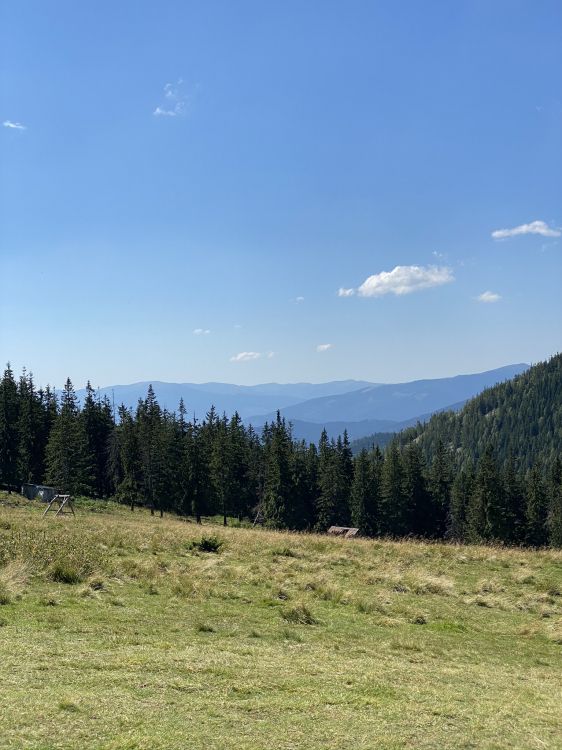 Обои данвилл, St Clair Townhip, земельный участок, товарооборот, недвижимость в разрешении 1536x2048