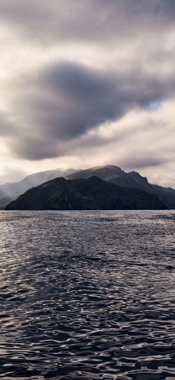 Обои apple, iPhone, macOS Catalina, яблоко, ios в разрешении 1183x2560