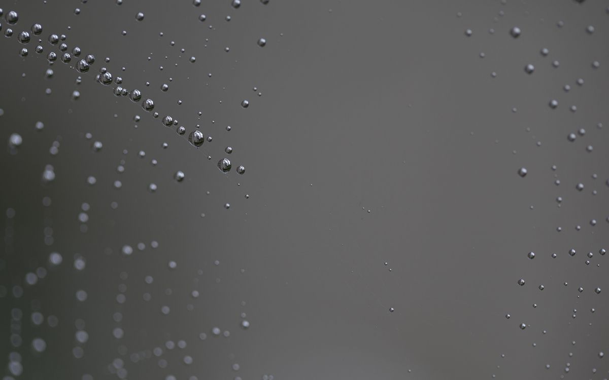 Обои атмосфера, паук, вода, падение, влага в разрешении 2560x1600