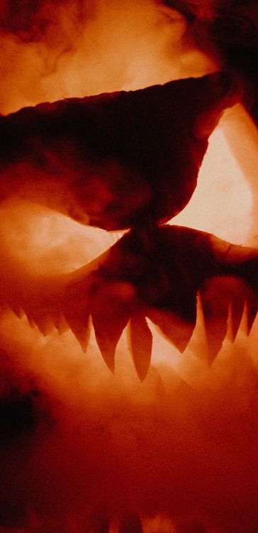 Обои Джек о фонарь, тыква, атмосфера, растение, лепесток в разрешении 1440x2960