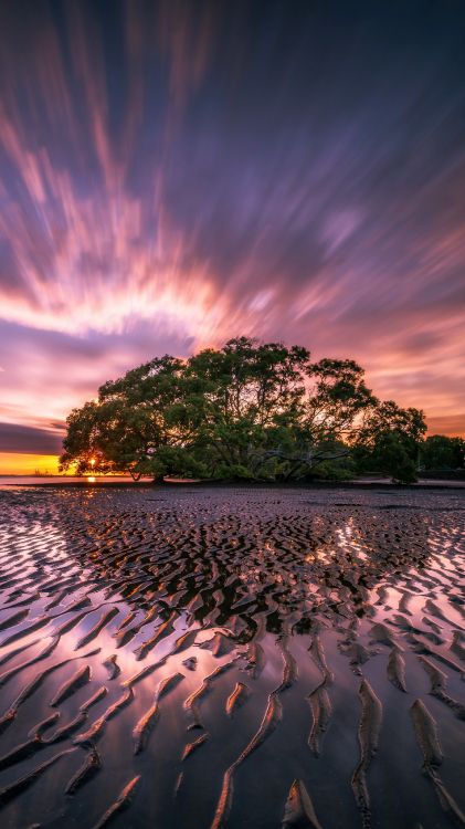 Обои съемный носитель, андроид, смартфон, облако, атмосфера в разрешении 1800x3200