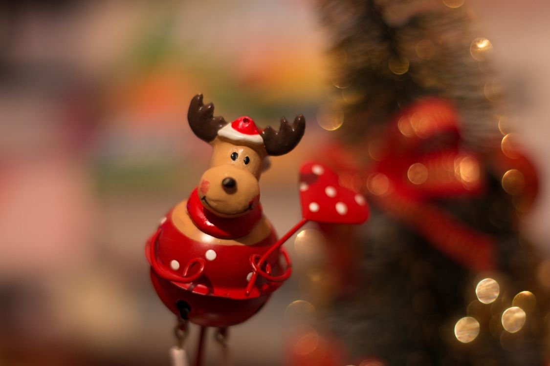 Обои рождественский орнамент, Рождественский день, праздник, красный цвет, Рождество в разрешении 5472x3648