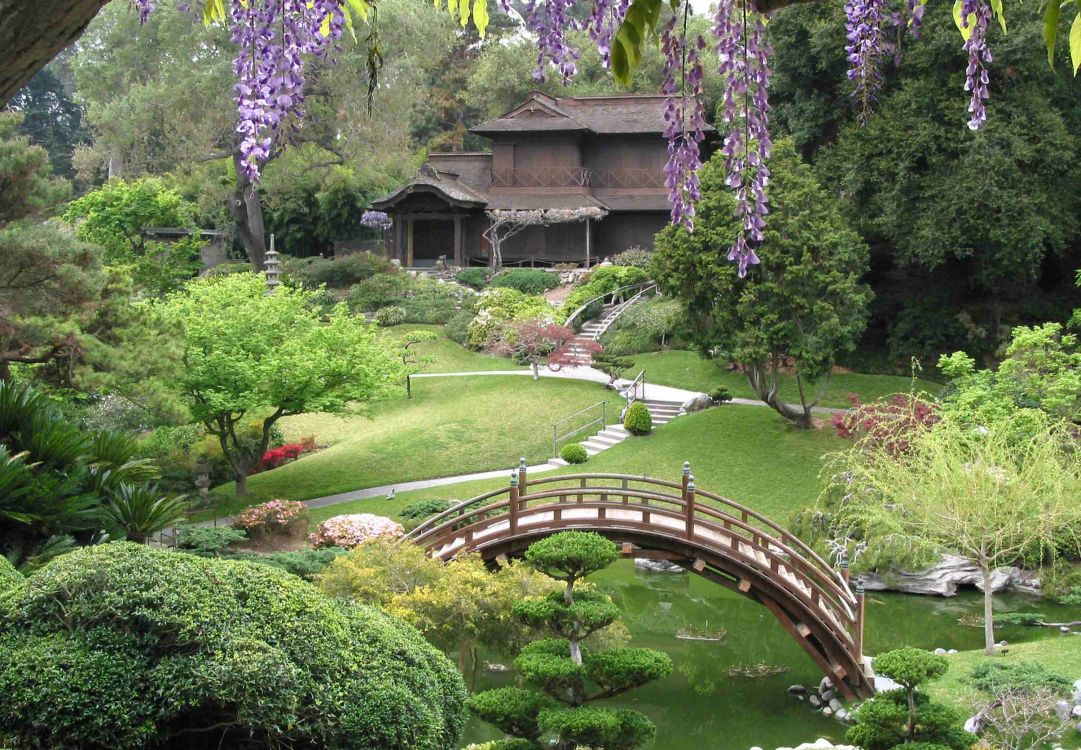 Обои Хантингтон Японский Сад, художественный музей, природа, сад, растительность в разрешении 3000x2080