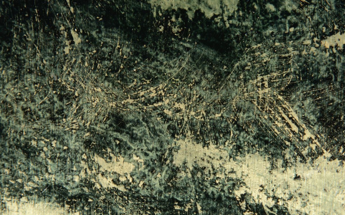 Обои растительность, почва, растение, рок, Структурные Стальные Конструкции в разрешении 2560x1600