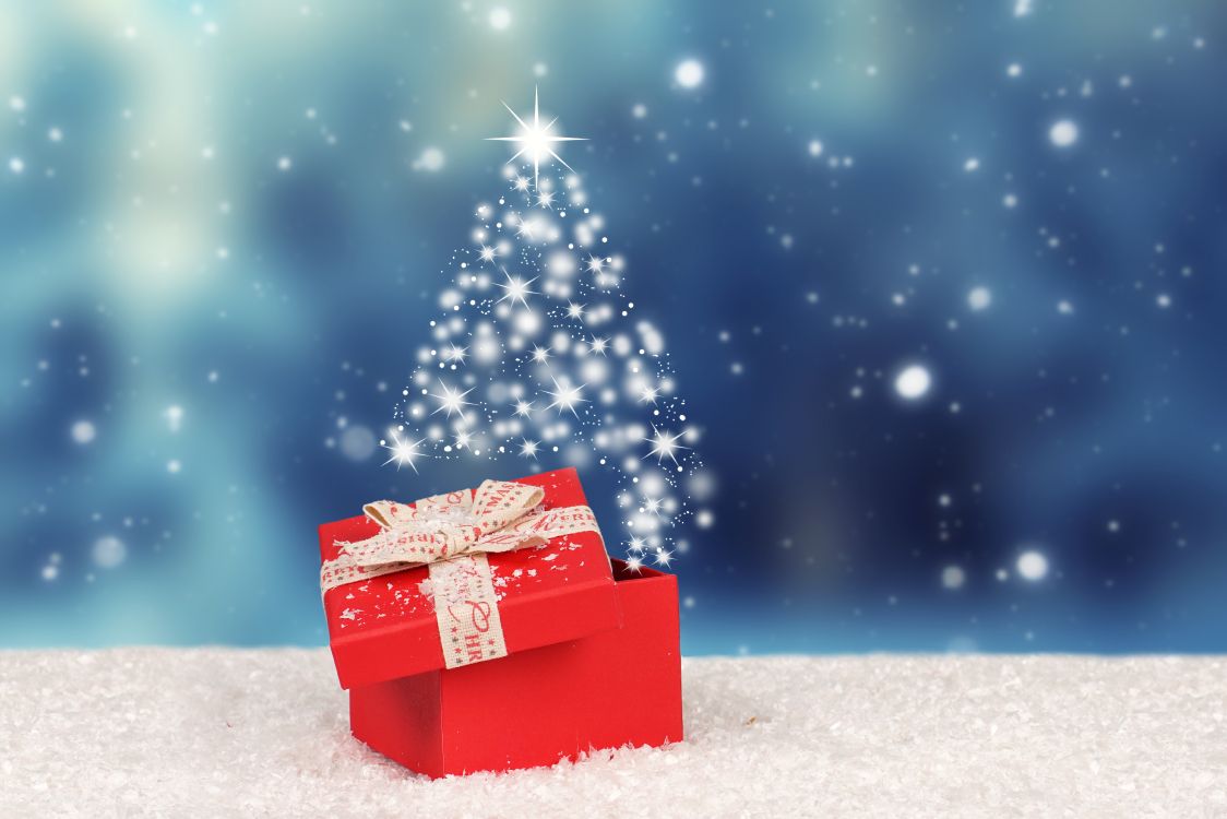Обои Рождественский день, зима, Рождество, елка, Сочельник в разрешении 6361x4241