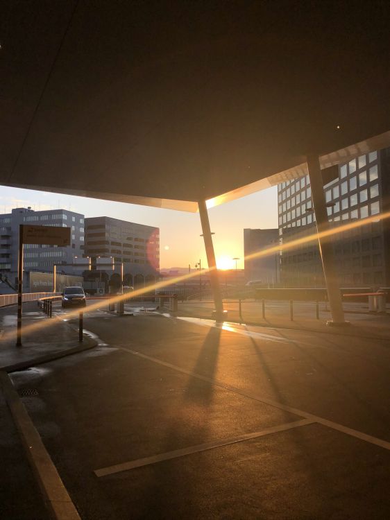 Обои освещение, свет, дневное освещение, физика, наука в разрешении 1536x2048