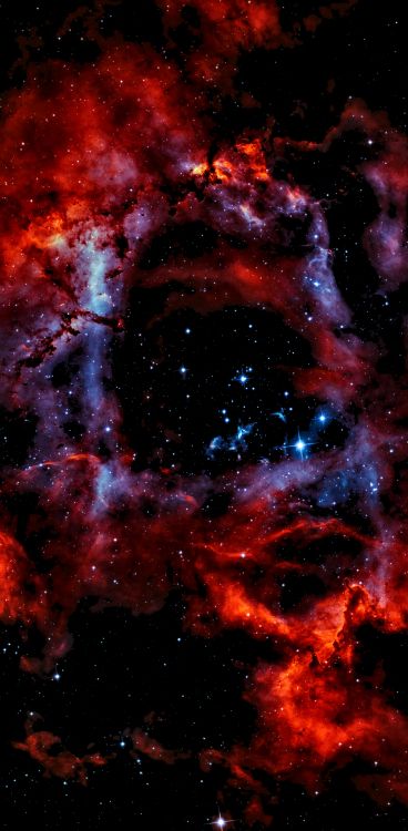 Обои туманность, Эмиссионная туманность, звезда, астрофотография, Астрономия в разрешении 2267x4616