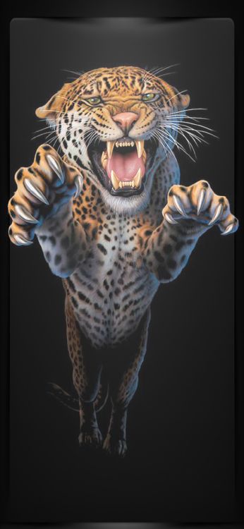 Обои сильные львиные цитаты, Лев, тигр, рев, большая кошка в разрешении 1080x2340