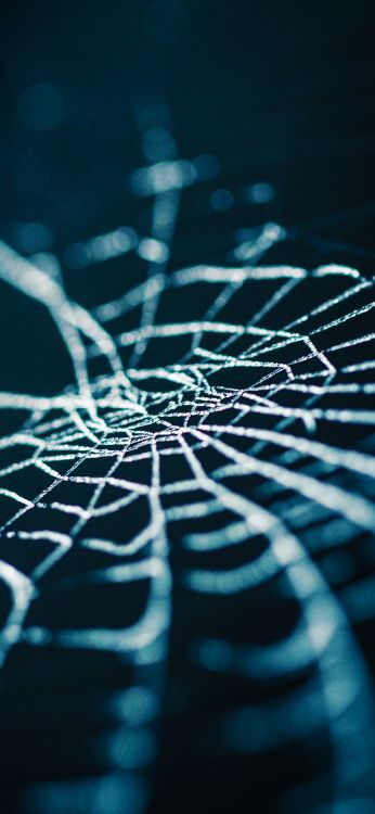 Обои вода, лазурный, наземное растение, натуральный материал, арт в разрешении 1420x3073