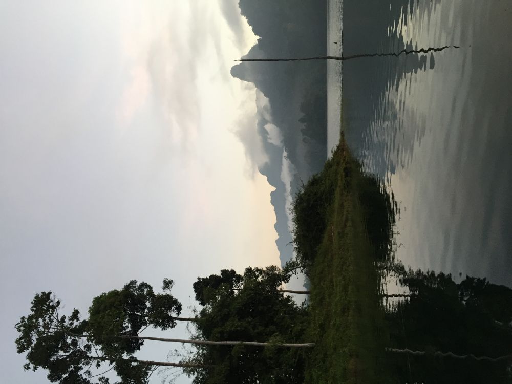 Обои природа, дневное время, атмосфера, древесные растения, мир в разрешении 3264x2448