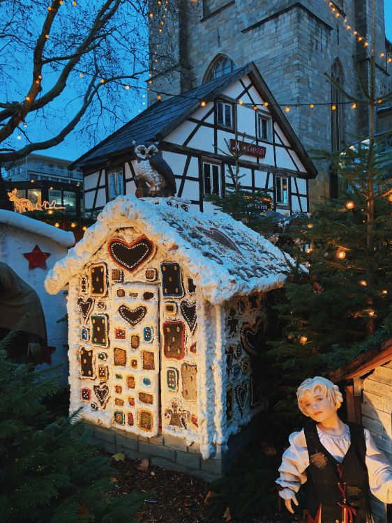 Обои зима, Хаус, Рождественские украшения, родина, праздник в разрешении 3024x4032