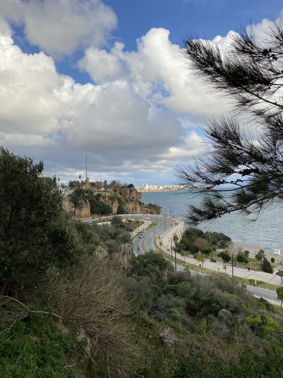 Обои местность, биология, наука, облако, растение в разрешении 1536x2048