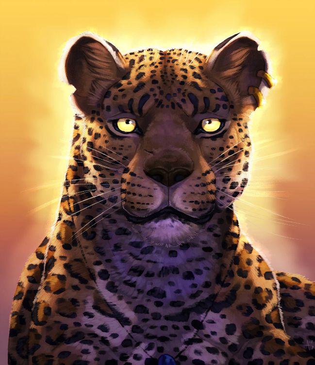 Обои Леопард, Гепард, Ягуар, тигр, Лев в разрешении 2560x2954