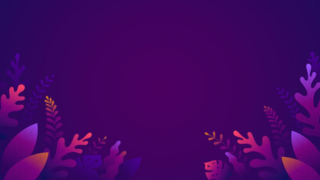 Обои растение, пурпур, лепесток, Фиолетовый, розовый в разрешении 3840x2160