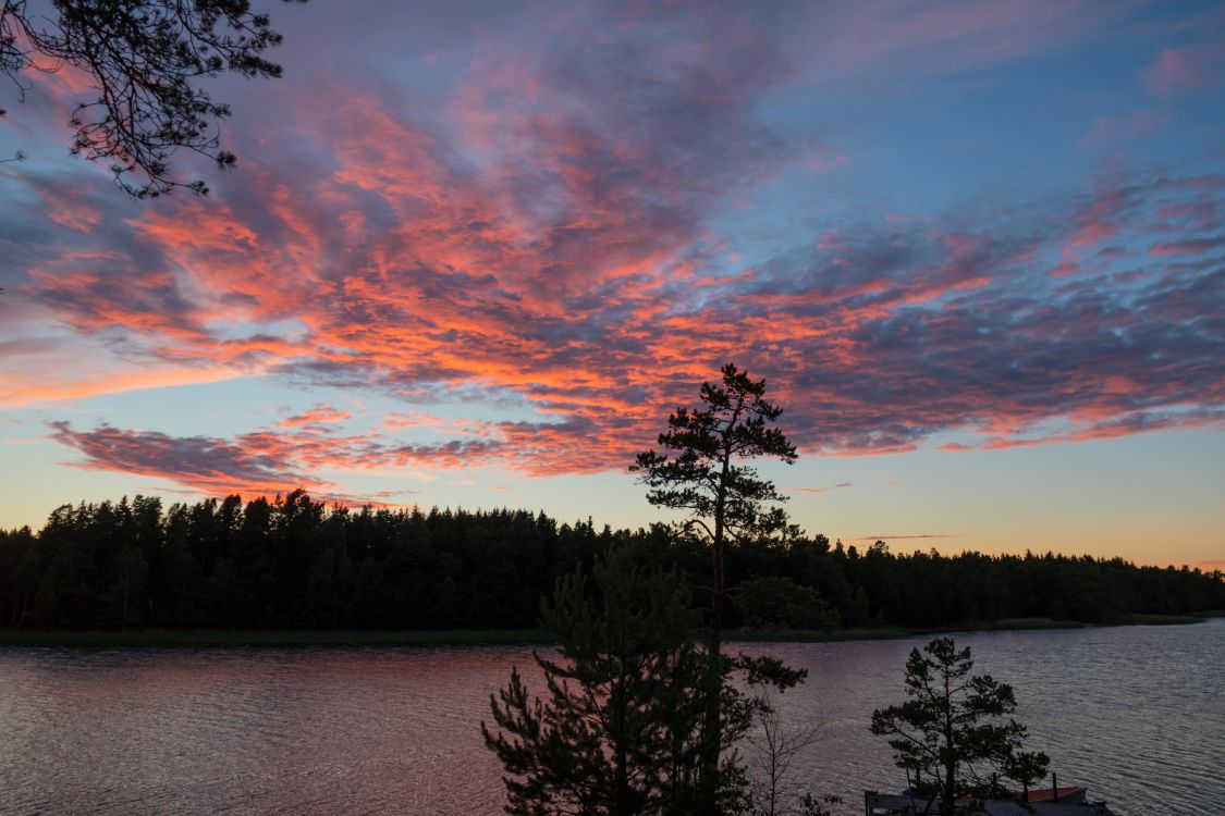 Обои дерево, природа, облако, закат, вечер в разрешении 6000x4000