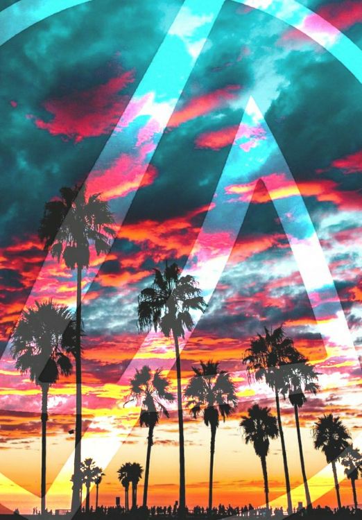 Обои Линкин Парк, Пальма, искусство, Лос-Анджелес, живое существо в разрешении 1080x1550