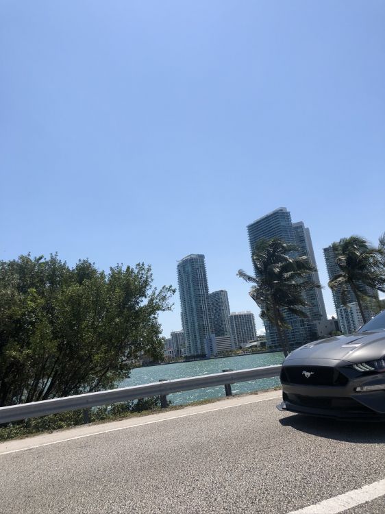 Обои Король, автомобиль среднего размера, компактный автомобиль, дневное время, башня в разрешении 1536x2048