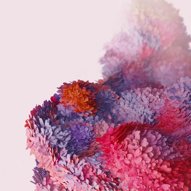 Обои Samsung Galaxy, Samsung, Samsung Galaxy S20, андроид, лепесток в разрешении 3200x3200