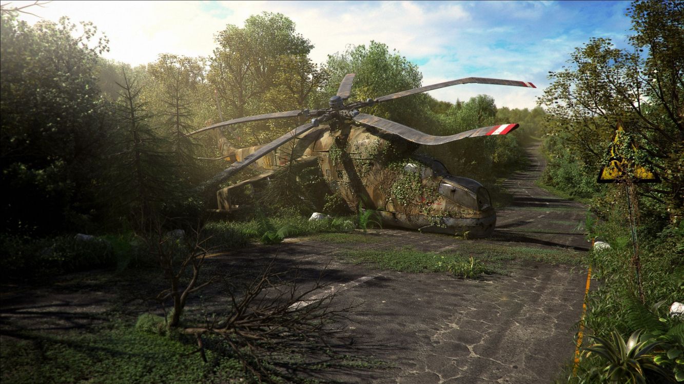 Обои дерево, сельский район, растение, текстуры, лесистая местность в разрешении 2560x1440