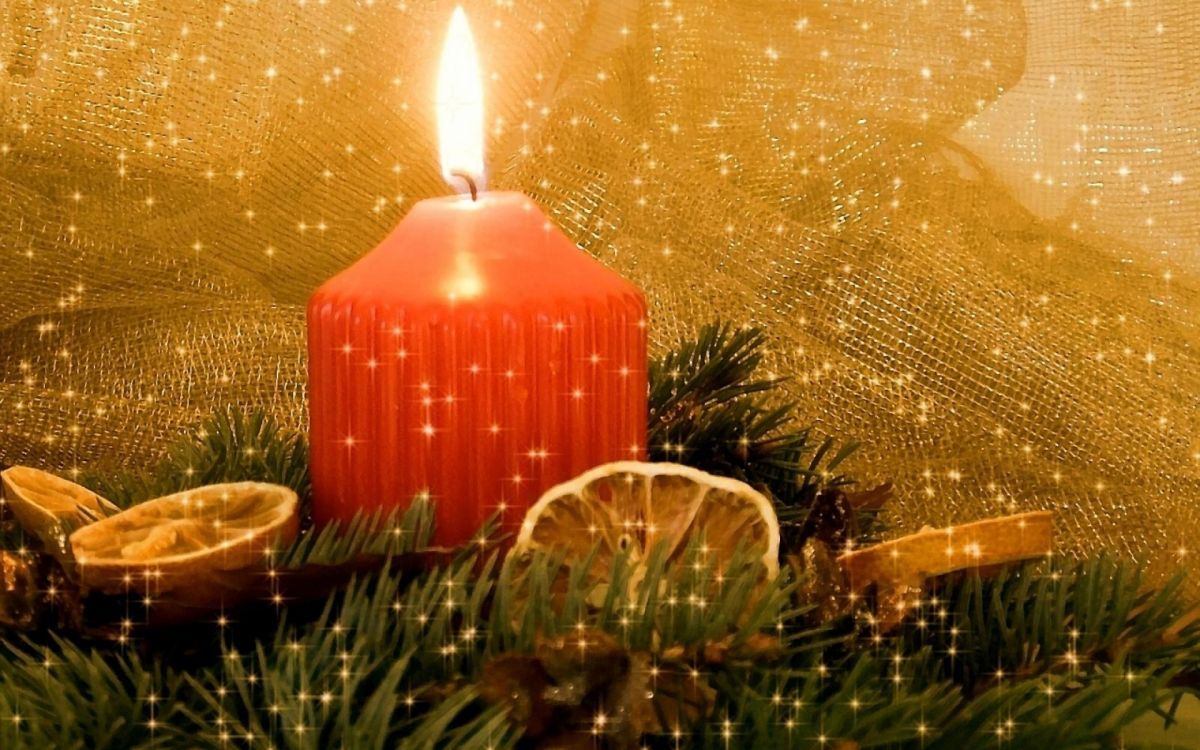 Обои елка, Новый год, Рождественские украшения, освещение, Рождество в разрешении 1920x1200