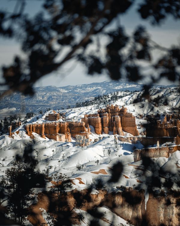 Обои пейзаж, снег, зима, замораживание, природный ландшафт в разрешении 4000x5000