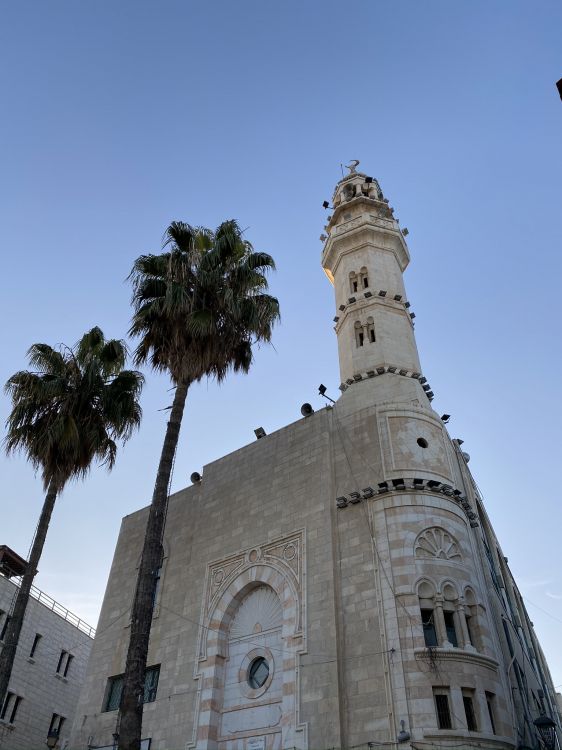 Обои Иерусалим, пальмовые рощи, древняя история, историческое место, архитектура в разрешении 1536x2048