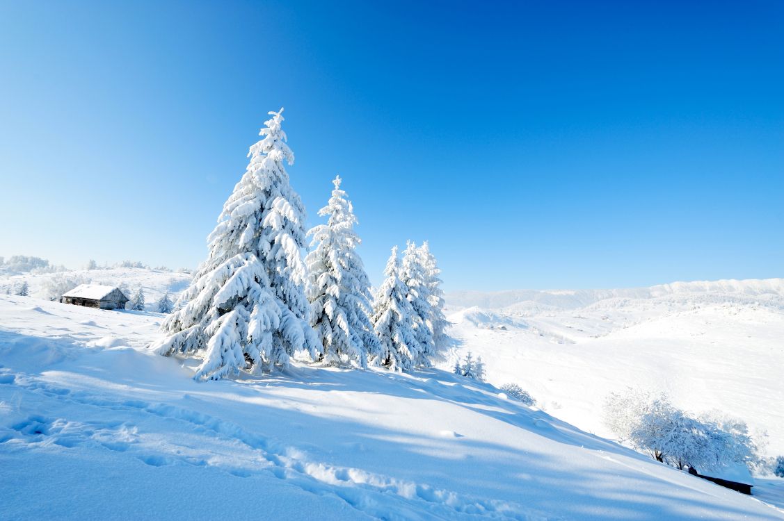 Обои снег, зима, природа, дерево, горный рельеф в разрешении 8512x5664
