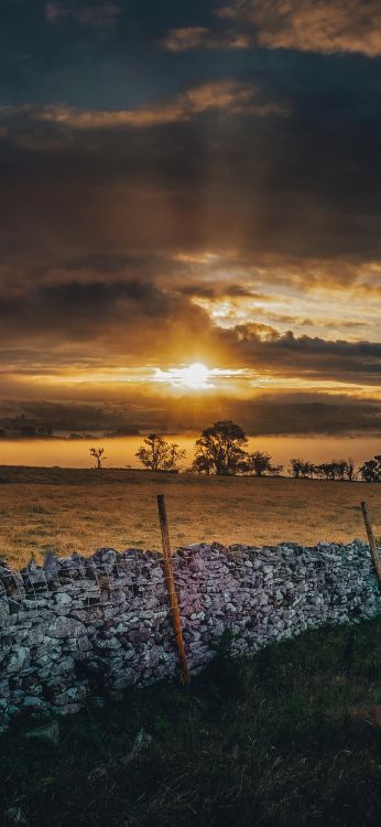 Обои облако, солнечный свет, атмосфера, растение, послесвечение в разрешении 1080x2340