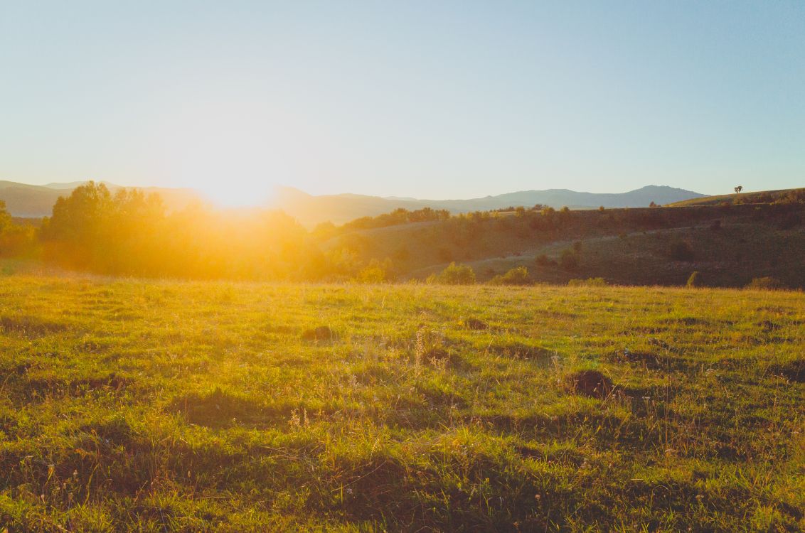 Обои природа, сенокосное угодье, окружающая среда, утро, солнечный свет в разрешении 4928x3264
