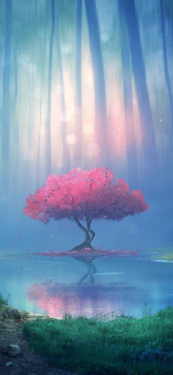 Обои природа, soundcloud, вода, атмосфера, растение в разрешении 946x2048