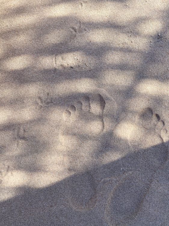 Обои дорожное покрытие, древесина, серый цвет, асфальт, полутона и оттенки в разрешении 1536x2048